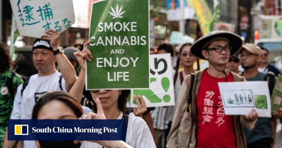 Japan’s under-20s are getting high like never before: ‘social morals are dying’ Japan’s under-20s are getting high like never before: ‘social morals are dying’