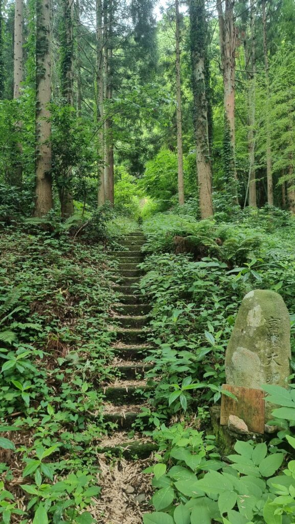 Forest Temple, Kanazawa