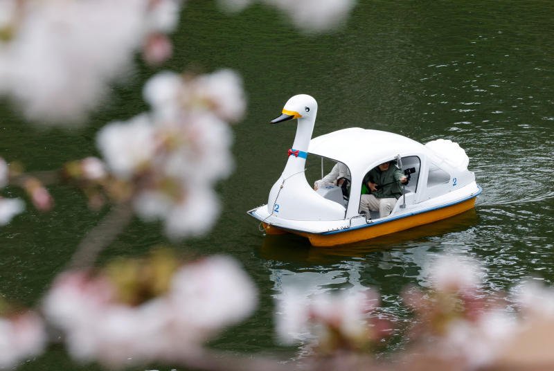 Visitors ride a boat and take a selfie with cherry blossoms at Chidorigafuchi Park in Tokyo on Thursday. (Photo: Reuters)