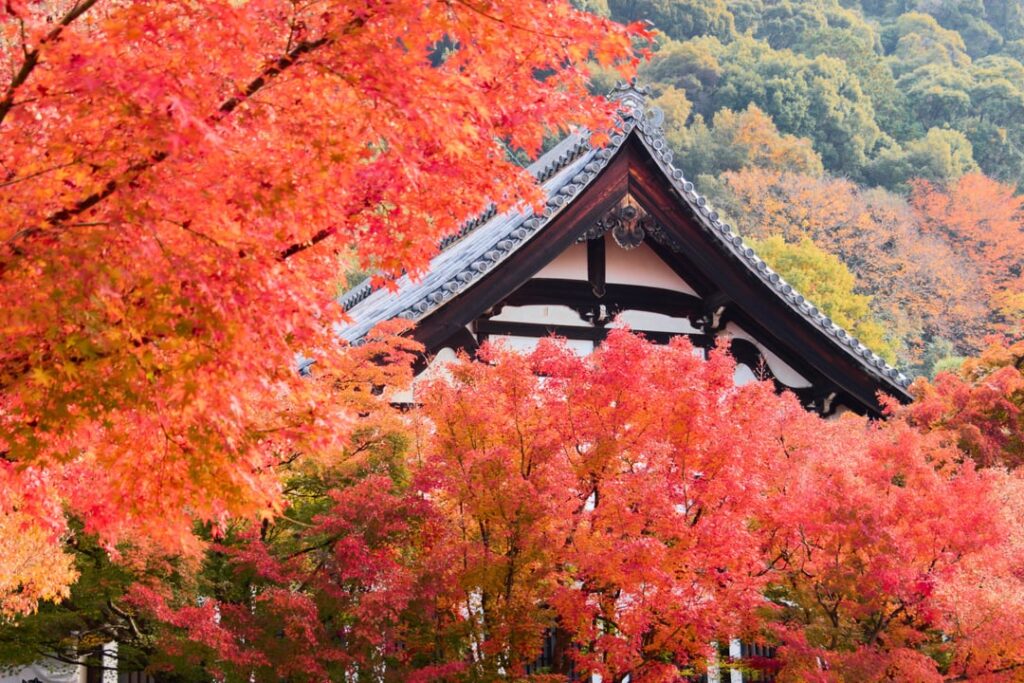 Eikando, Kyoto (Part II)