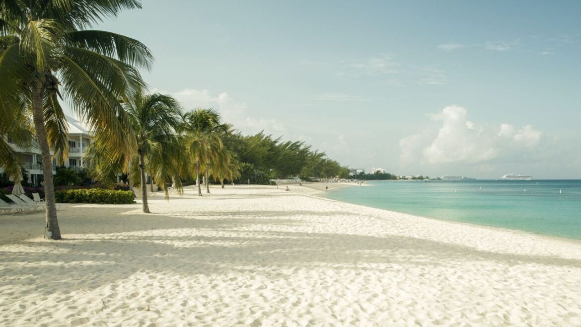 SRS brings first Japanese Fortune 500 captive to Cayman