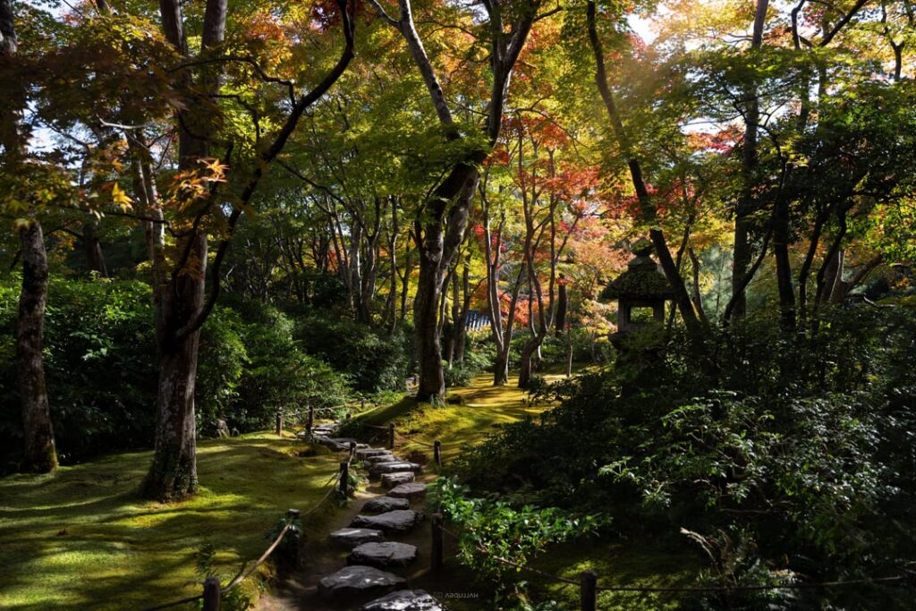 Kyoto — Wandered into Okochi Sanso, Arashiyama. Didn't want to leave [OC]