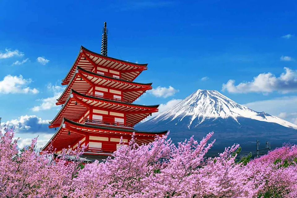 Scoot’s Everywhere Sale - Himeji Castle Japan