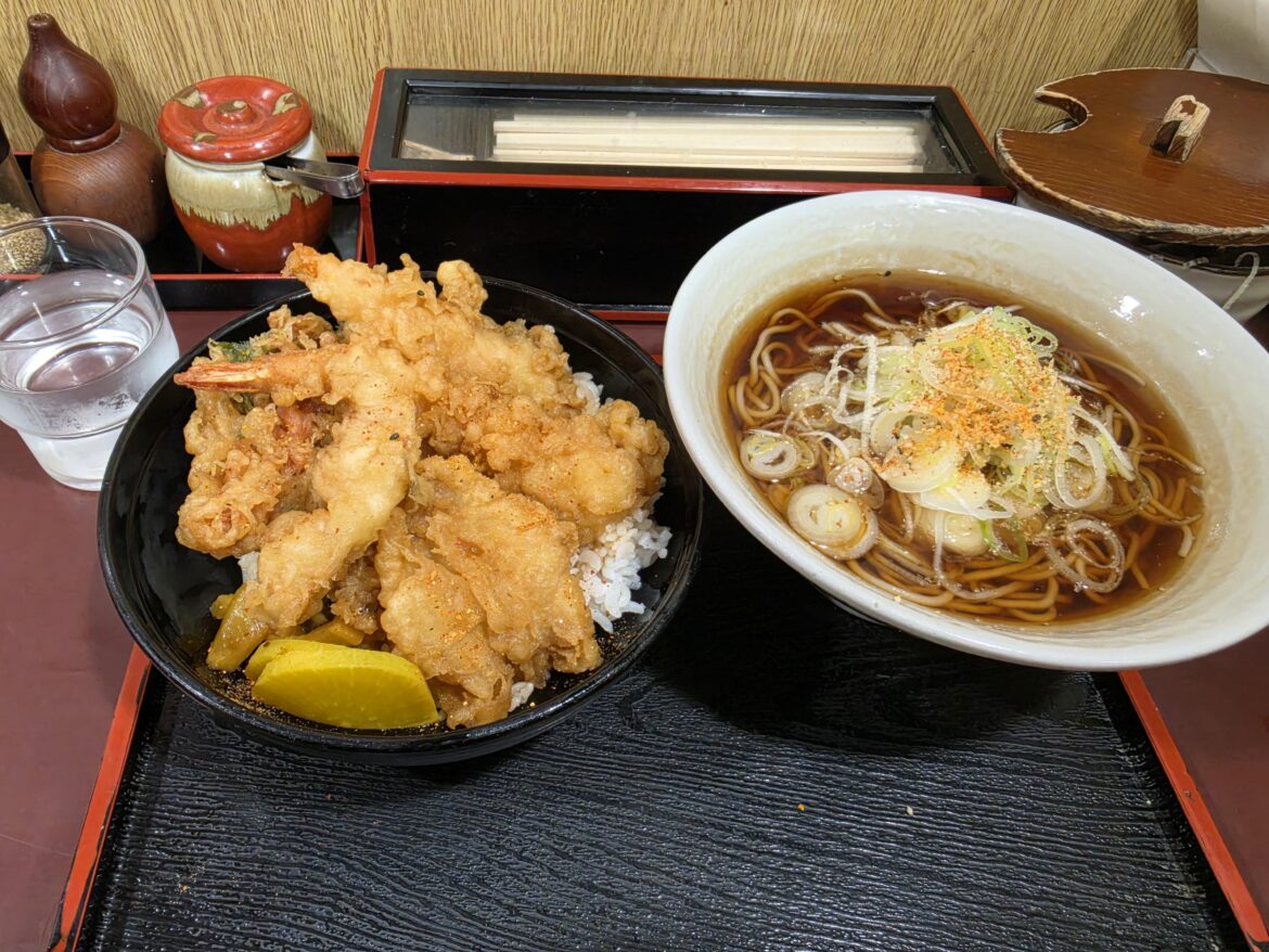 Spring Soba and Tempura Rice Bowl Set