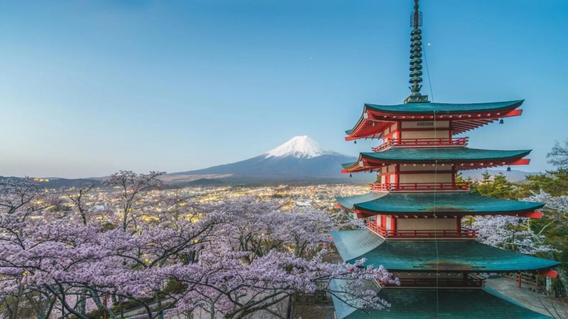 Mount Fuji Cherry Blossom Festival 2026 Called Off: Find Out Why