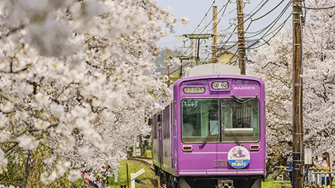 Exploring Japan’s Spring Aboard Local Train Lines | MAY 2026 Exploring Japan’s Spring Aboard Local Train Lines | MAY 2026