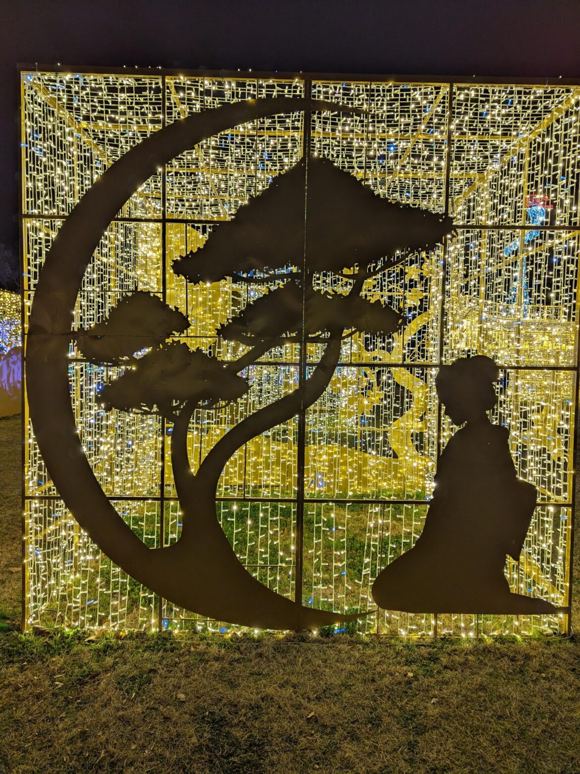 Osaka Christmas lights, taken in January 25