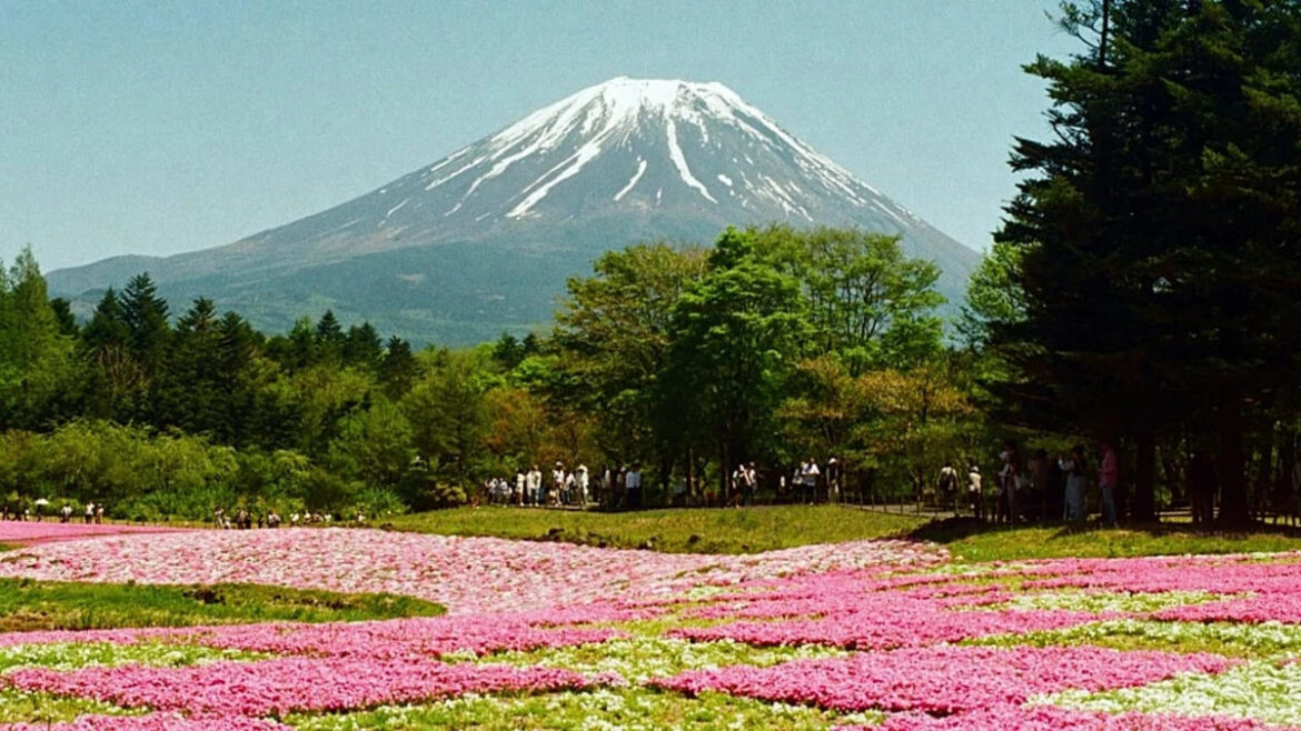 Japan tourism is booming as travellers look beyond Tokyo and Kyoto