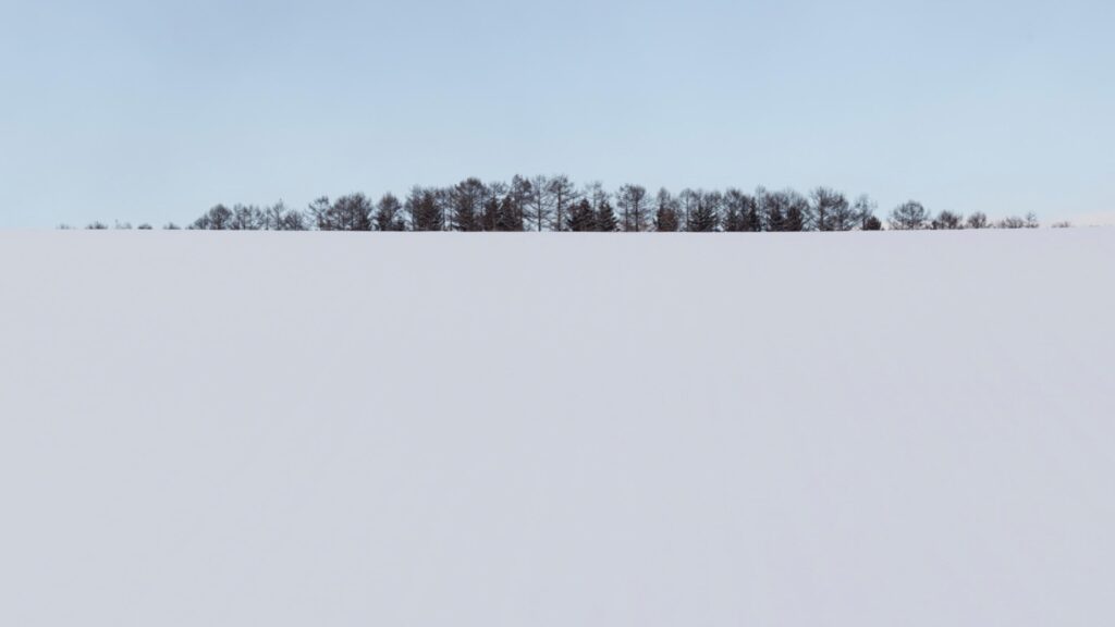 a line of trees traces the horizon in Takushinkan on a snowy day