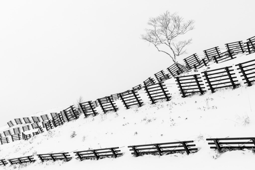 avalanche prevention fences