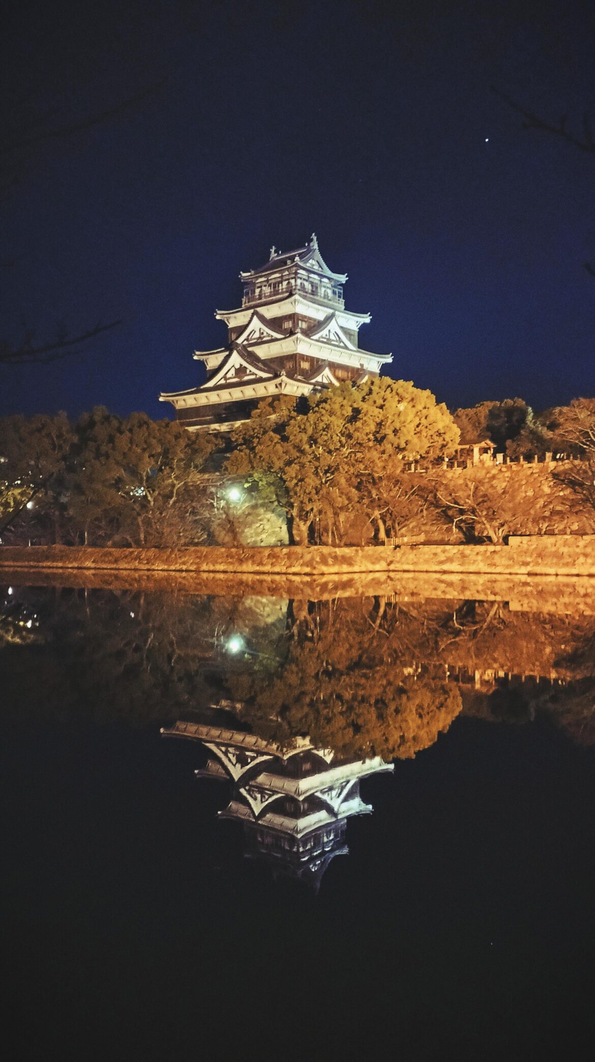 Hiroshima Castle at Night
