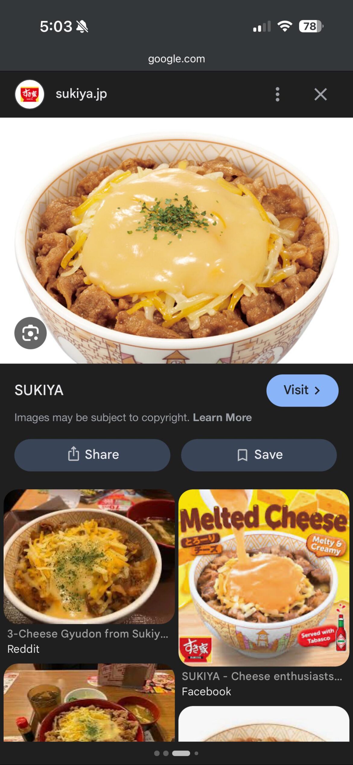 What is the melted cheese