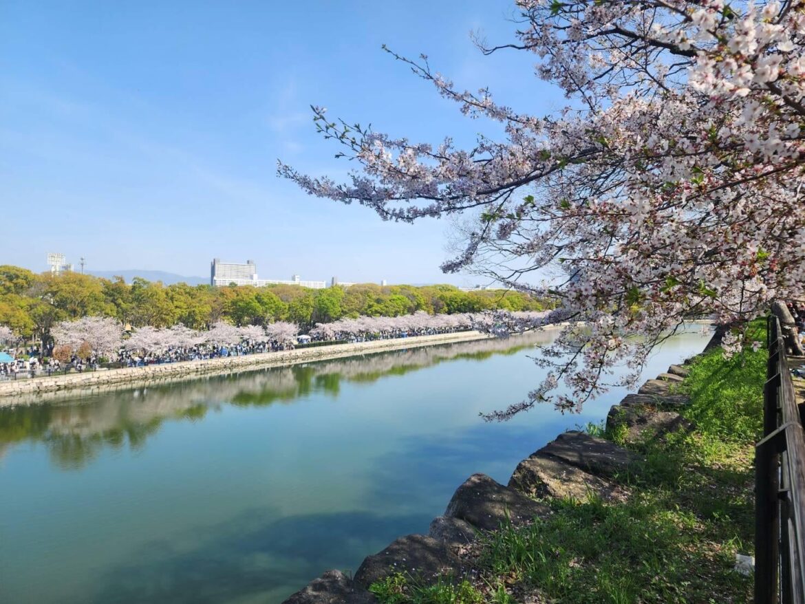 Cherry blossom season in Japan hits different