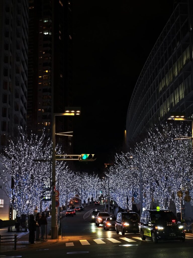 Solo Trip January 2026