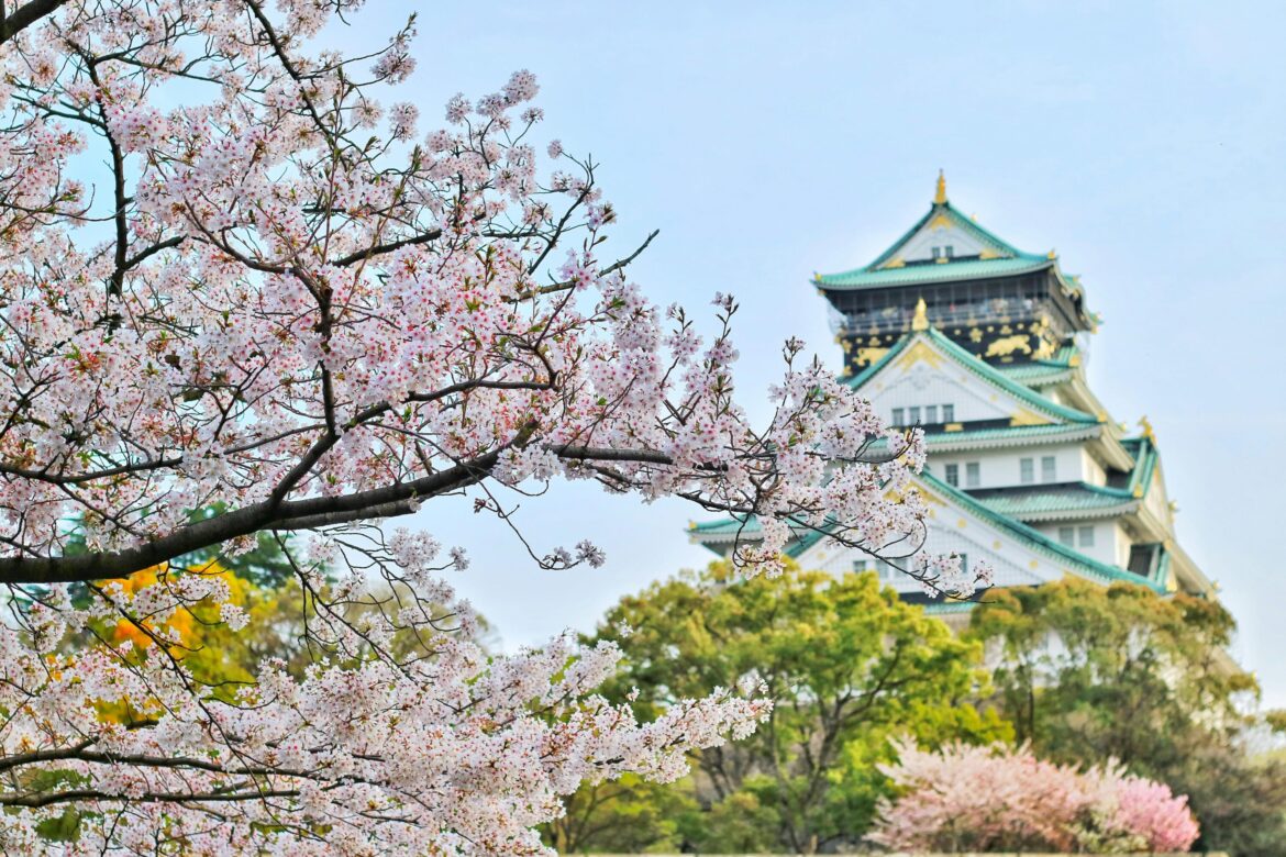 The Hidden Meanings Behind Japan’s Iconic Blossoms