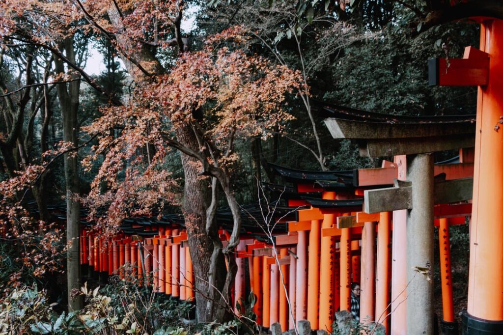 My Fushimi Inari favorite pics [OC] December 2025