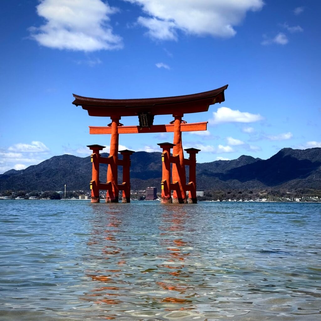 Worth the trip for this alone 🌸