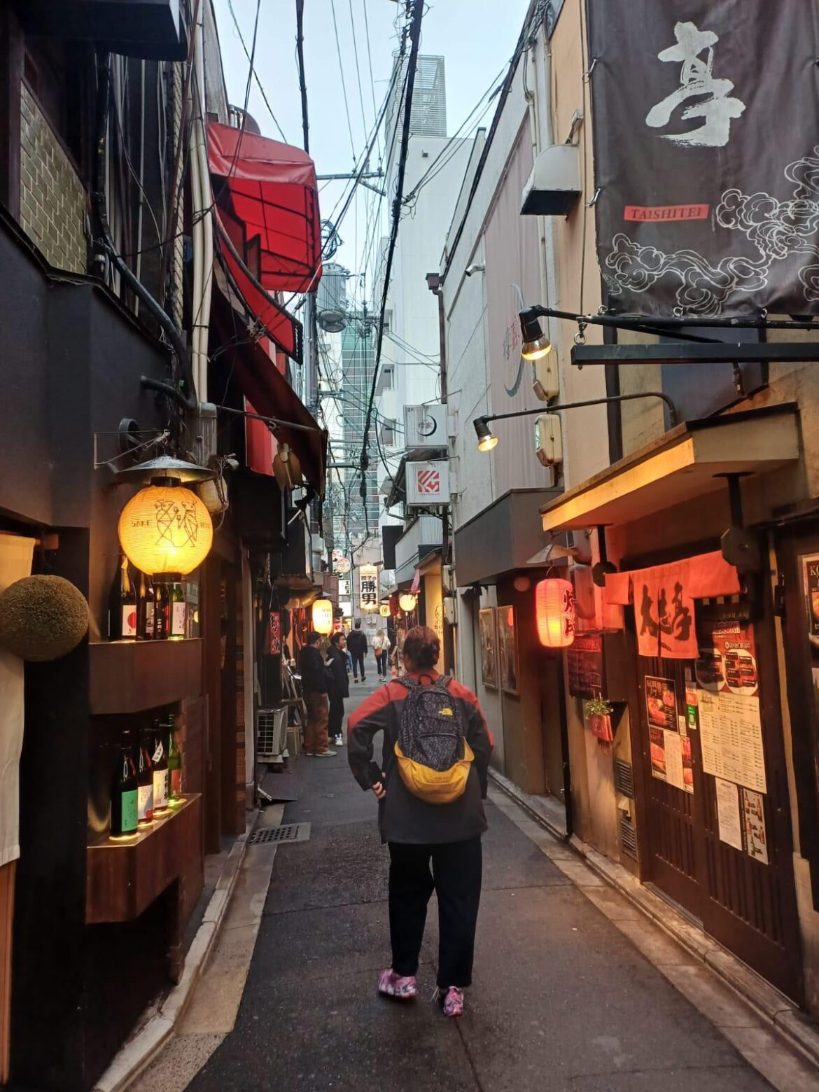 Pontocho Alley
