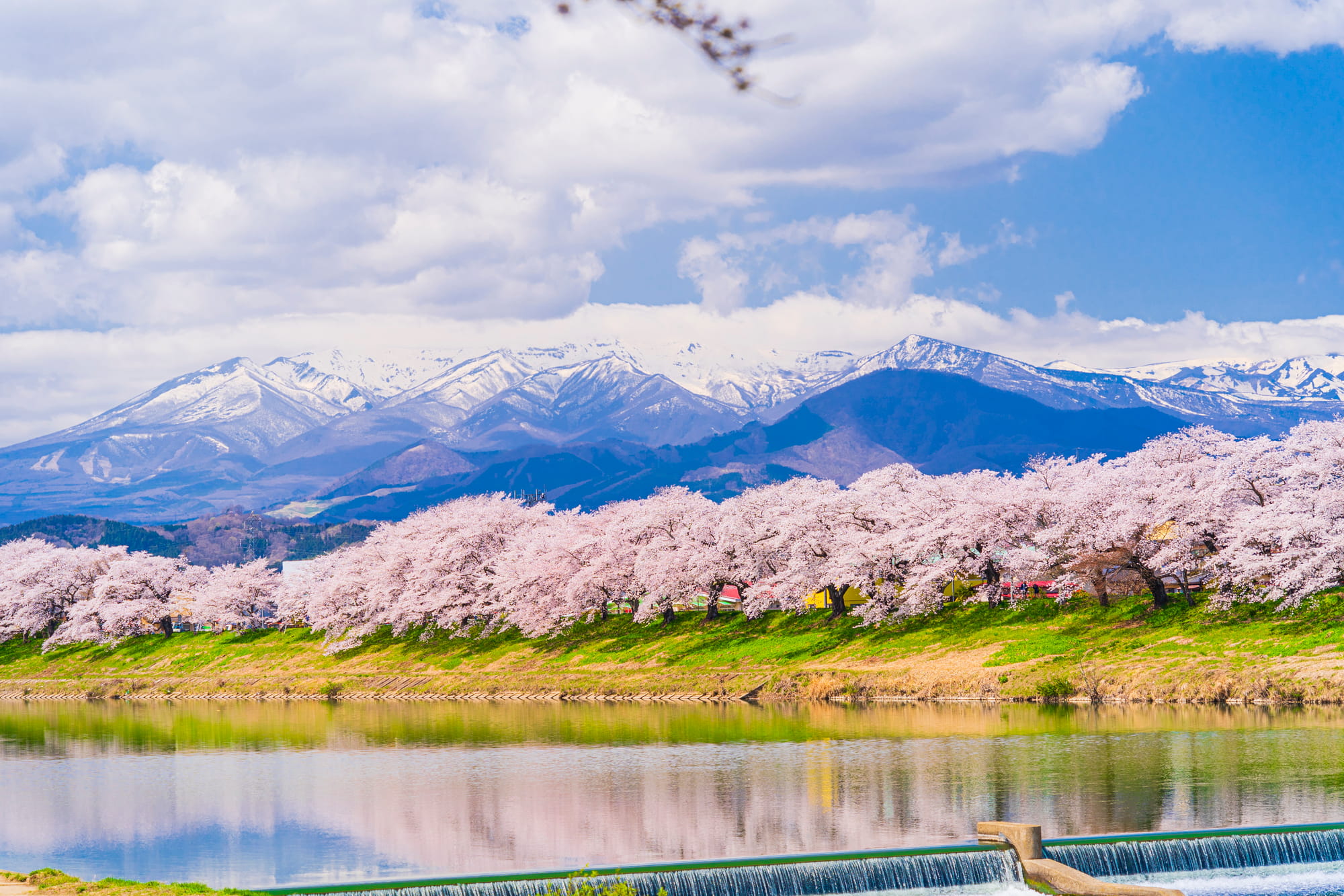 shiroishi river hitome senhonzakura