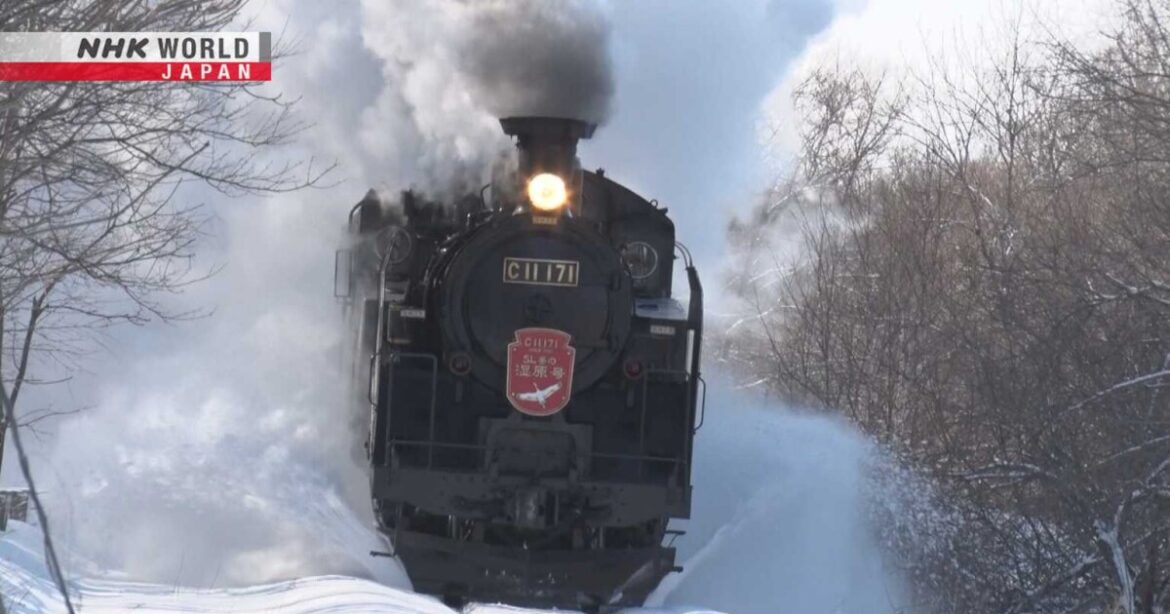 The Brilliant White Expanse of Eastern Hokkaido - Train Cruise