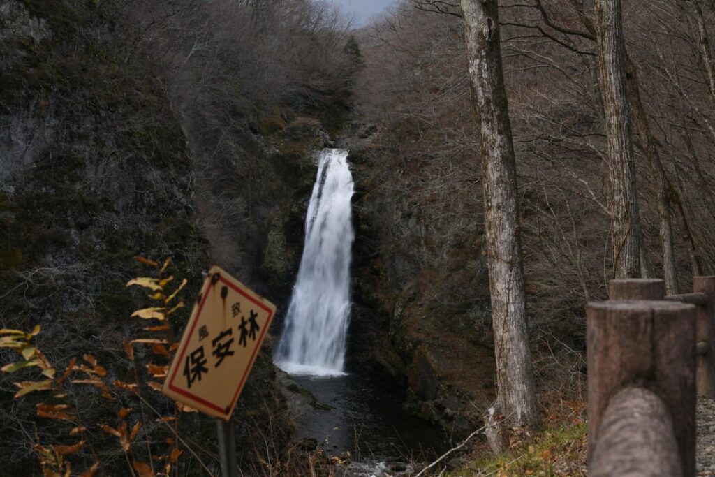 photos i took on my trip to japan (as a 13yo beginner)