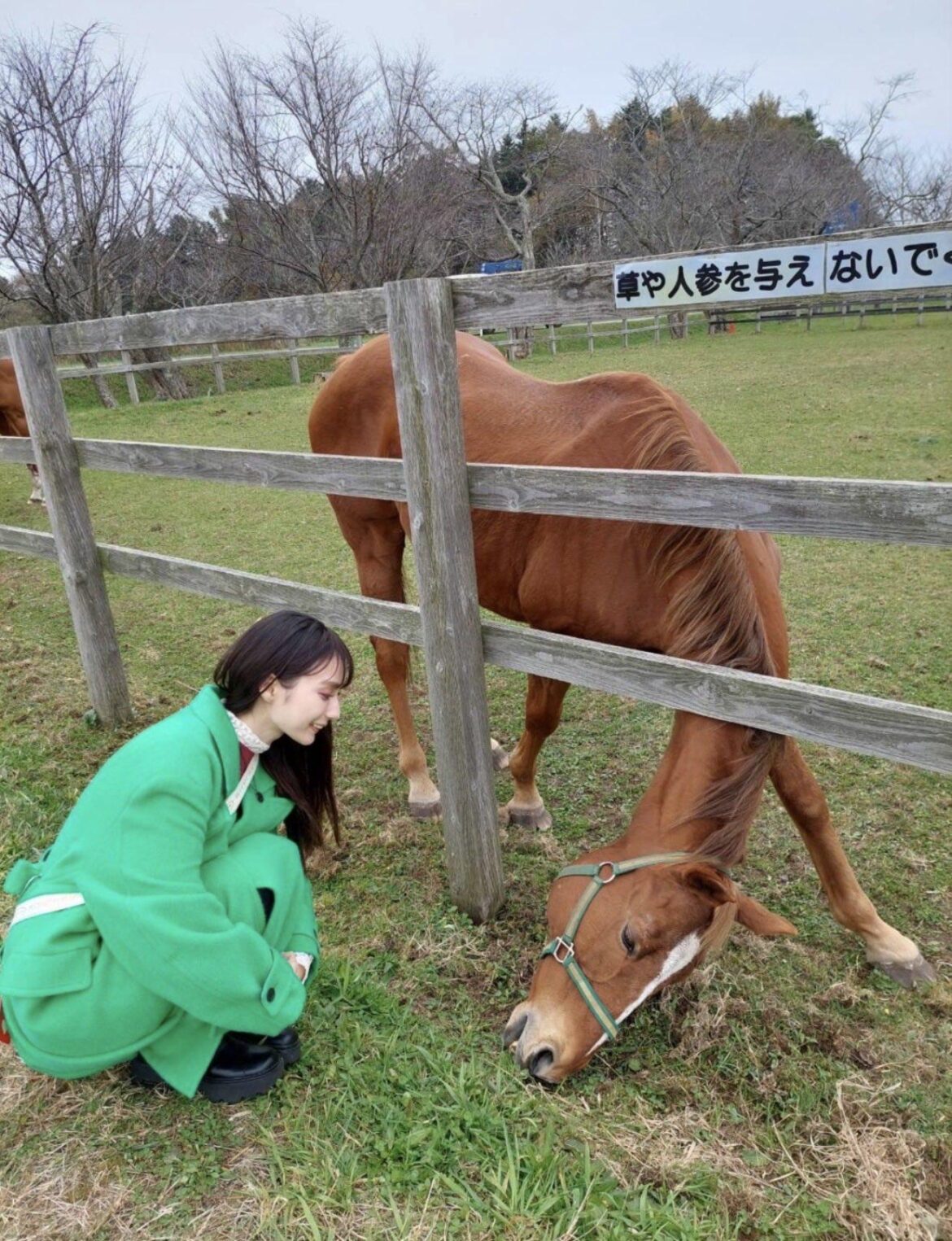 Kouno Marika with Suzuka Phoenix💚ྀི