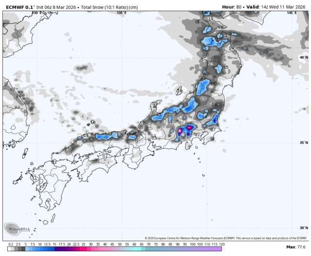 ECMWF snowfall forecast map