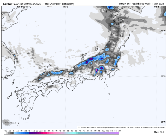 ECMWF snowfall forecast map