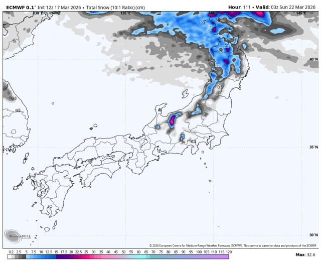 ECMWF snowfall forecast map