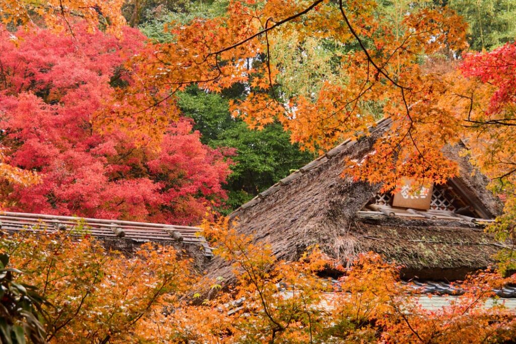 Hogon-in, Arashiyama
