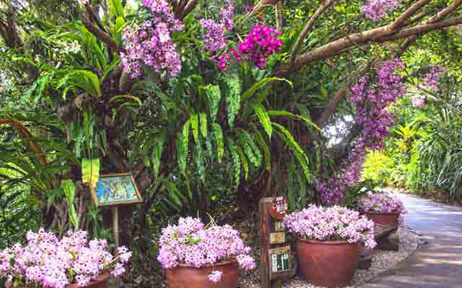 floral arts at Bios on the Hill