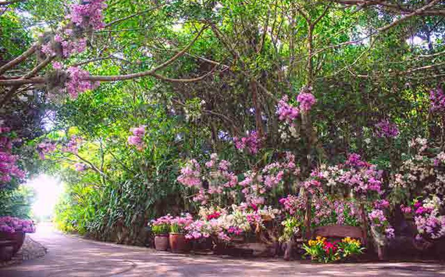 floral arts and a path at Bios on the Hill