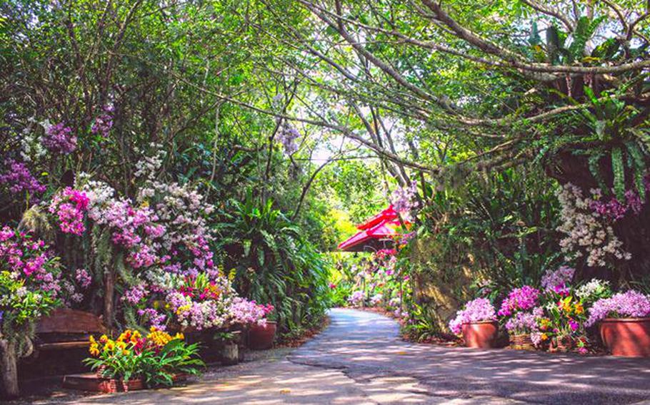 floral arts and a path at Bios on the Hill