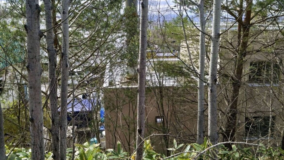 Asahiyama Zoo Delays Reopening After Employee Admits Burning Wife's Body