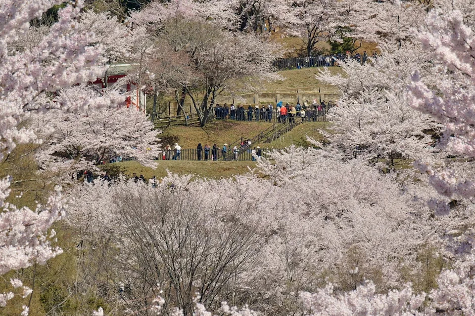 Tourists face hours-long lines to access the most scenic spots (AP)