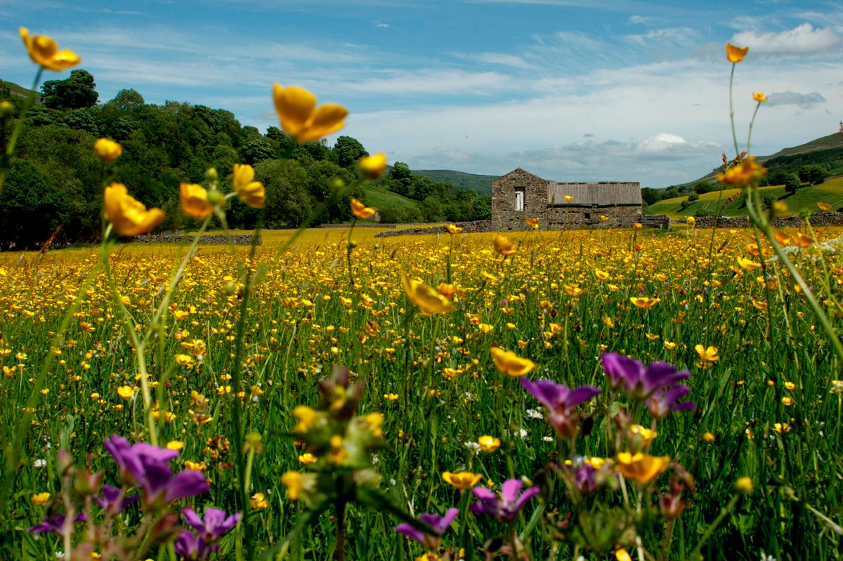 Yorkshire Dales National Park