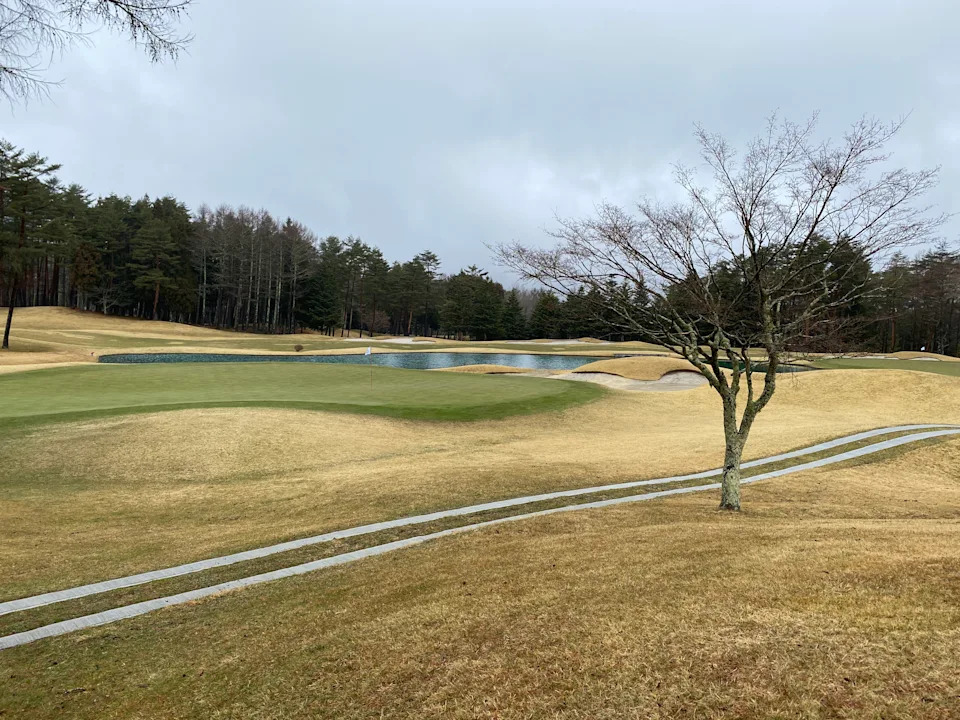 Golf fairway with tree and lake, crossed by a path