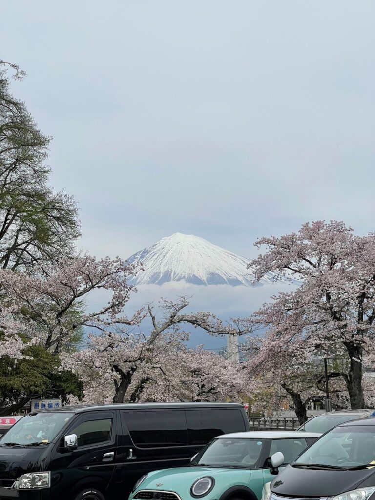 Beautiful Mountain Fuji photo