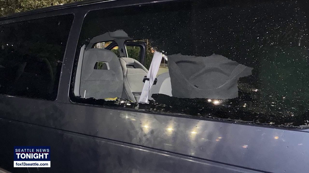 Costumes stolen from Seattle Cherry Blossom Festival performers