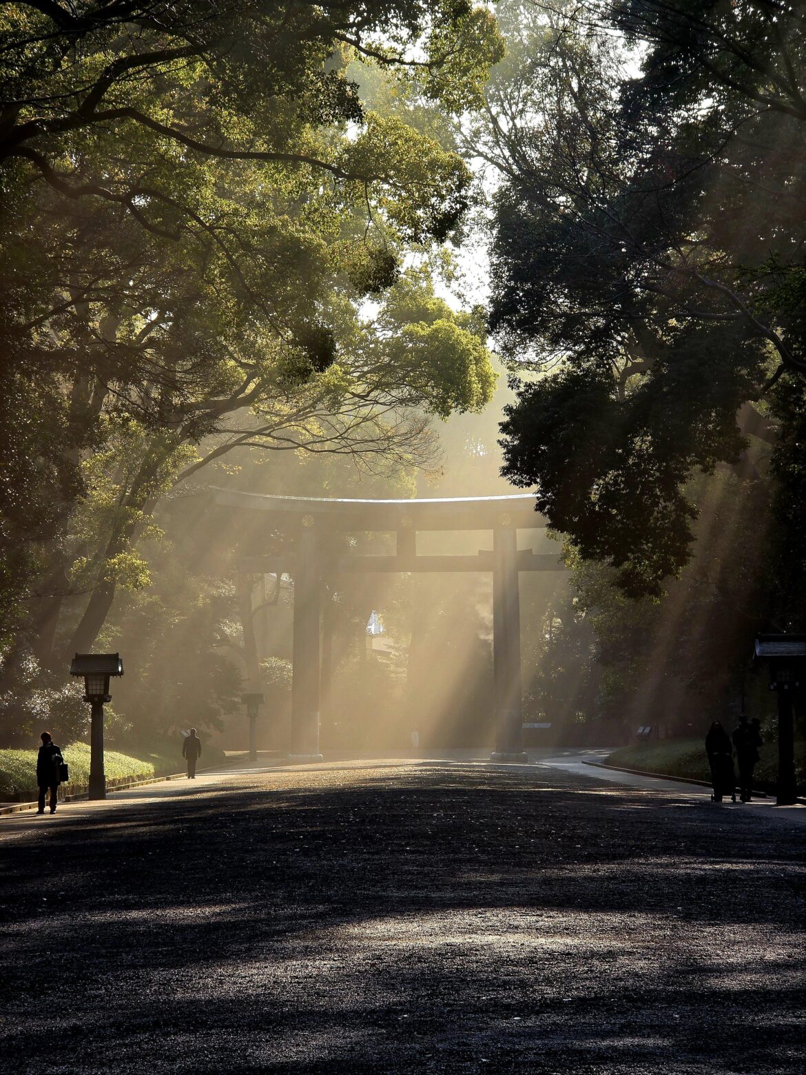 My favourite shot from Japan - Meiji Jingu