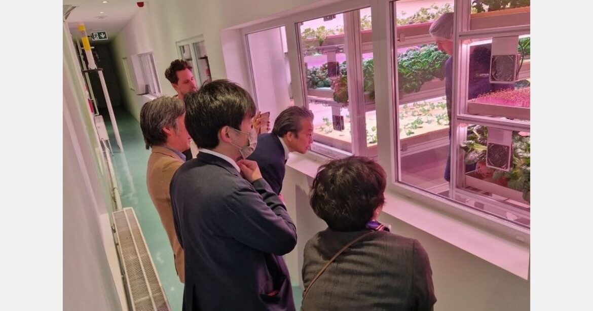 Japanese Delegation Visits Csillagváros Kft. Egreen Farming Solutions R&D Vertical Farm
