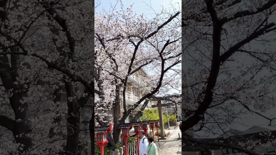 【KYOTO】 Must-See Hidden Gems - Rokusonno Shrine