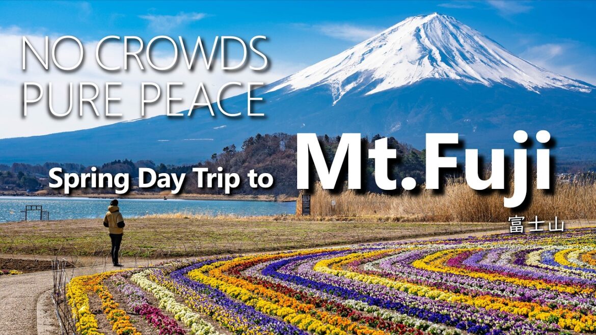 Finding the Quiet Side of Mt. Fuji ｜ No Crowds, Pure Peace Train Trip ｜ Japan Travel Vlog