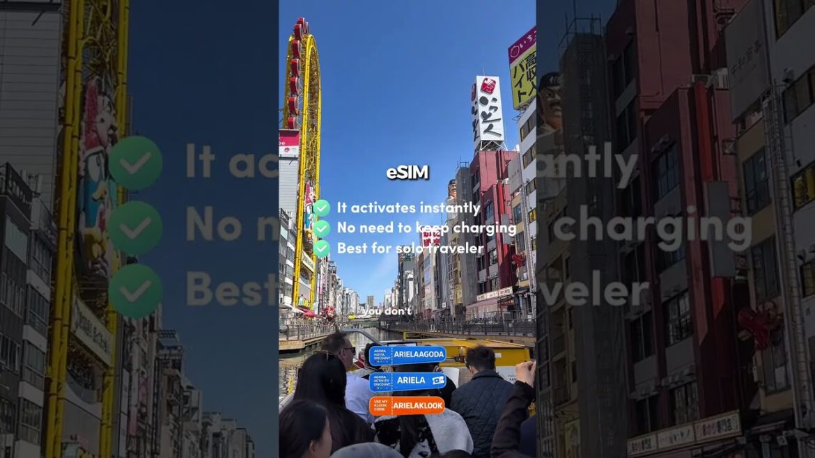 Esim or Pocket wifi whenever you travel? or visit Japan