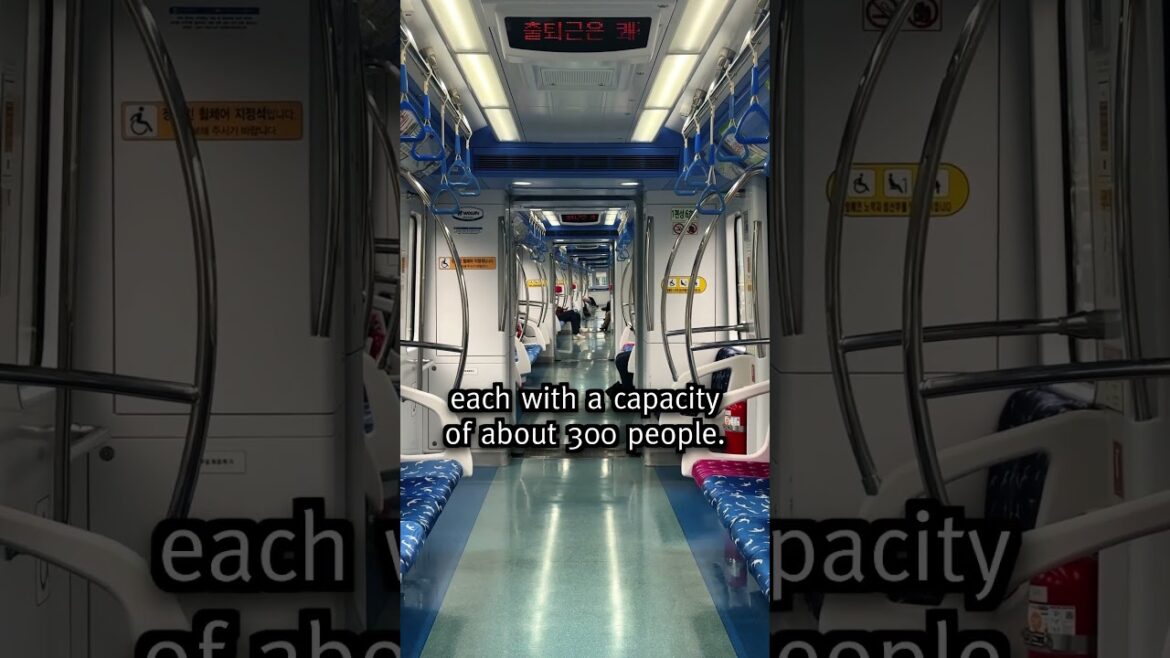 Busan's DRIVERLESS Rubber Tyre Metro, Line 4 (Anpyeong - Minam)