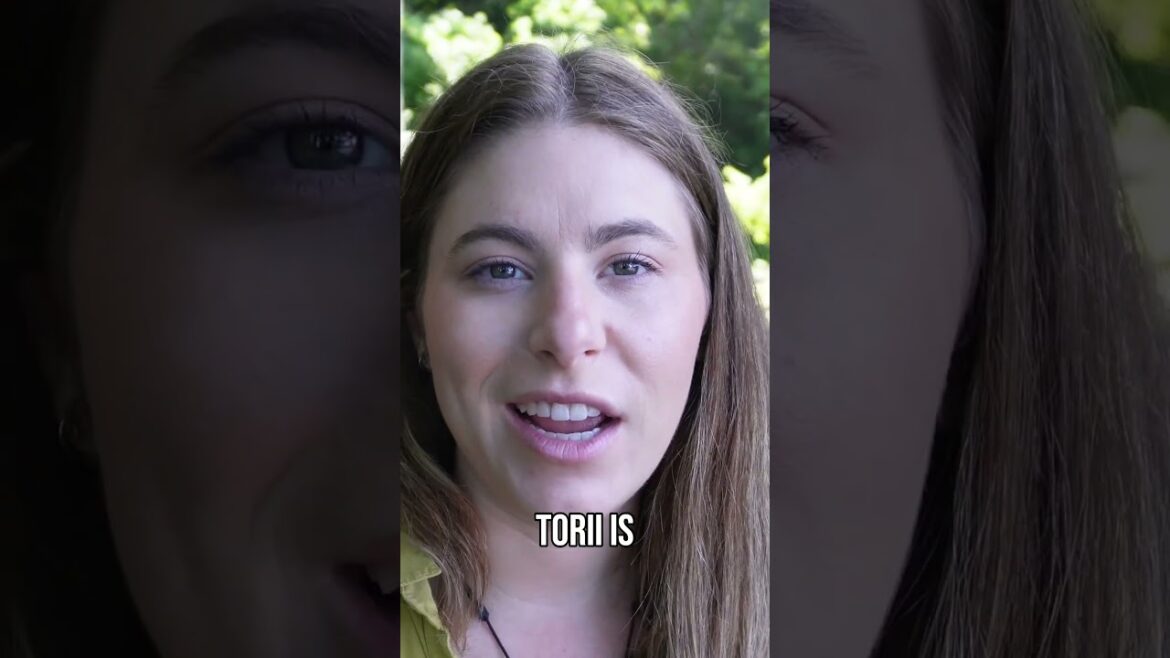 Hakone Shrine's Floating Torii  Japan's Most Photographed Spot