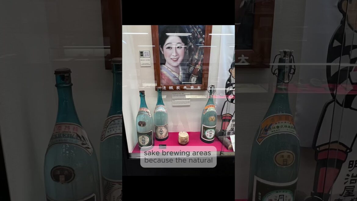 The Sake District Most Tourists Miss in Kyoto