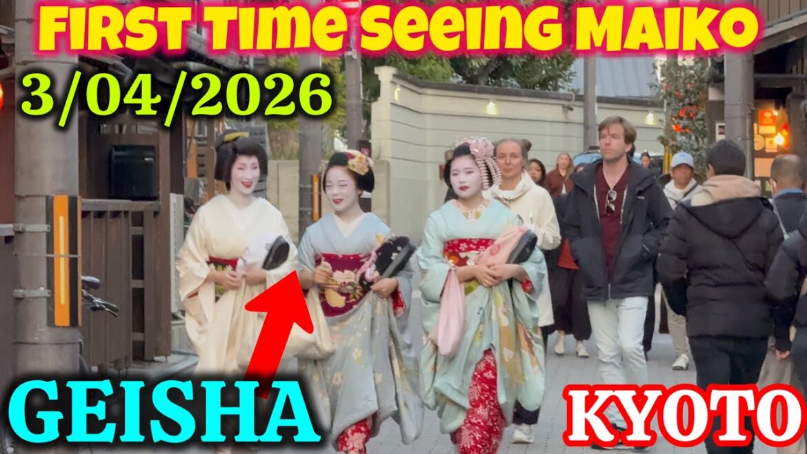 祇園で初めて舞妓＆芸妓を見た👘✨｜観光客が驚愕！😍
