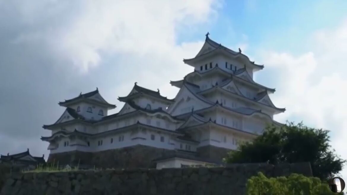 Kumamoto City Japan Tour