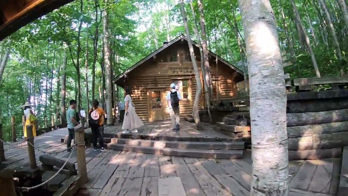 Ningle Terrace | Furano, Hokkaido 2024